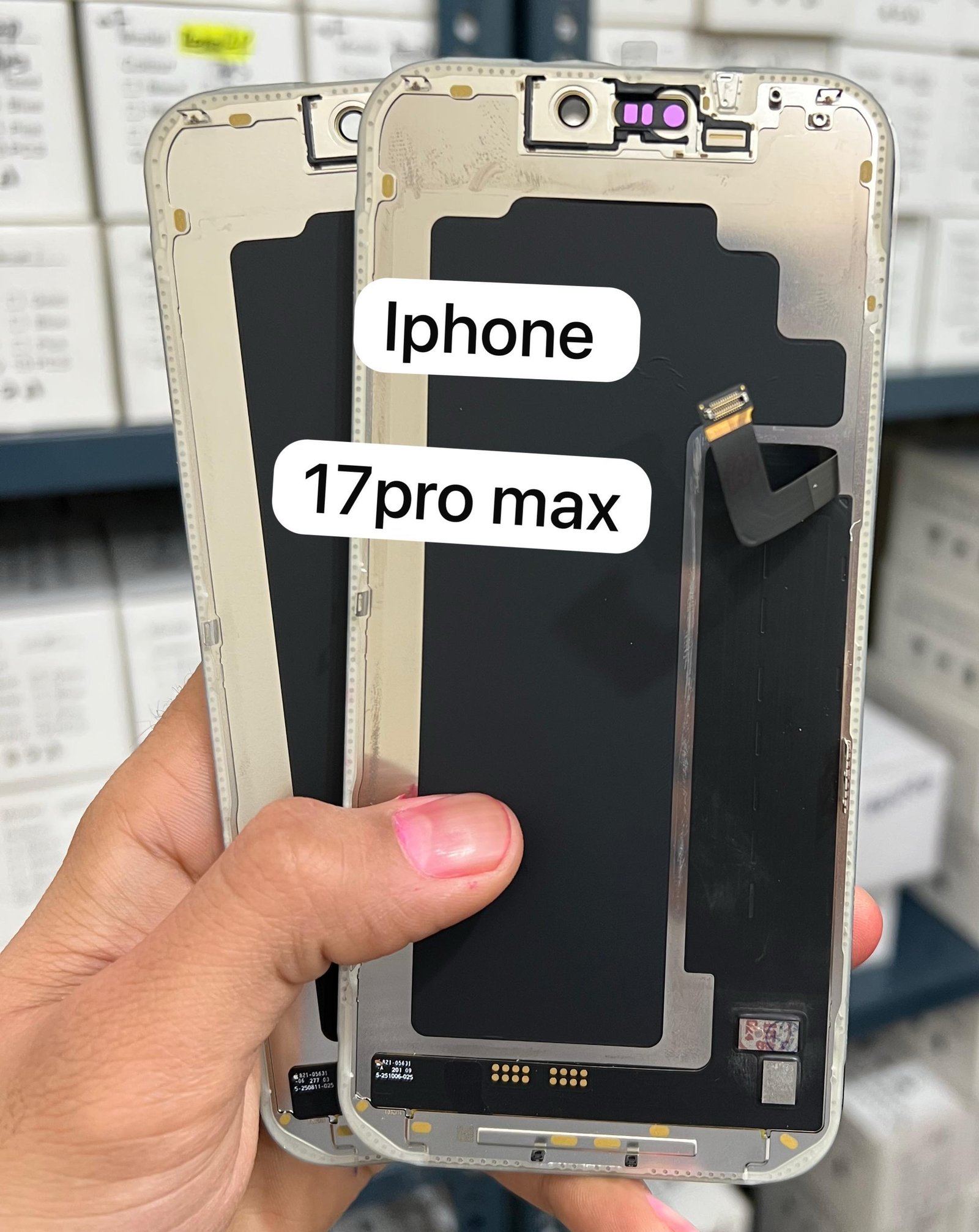 iPhone 17 Series all display available